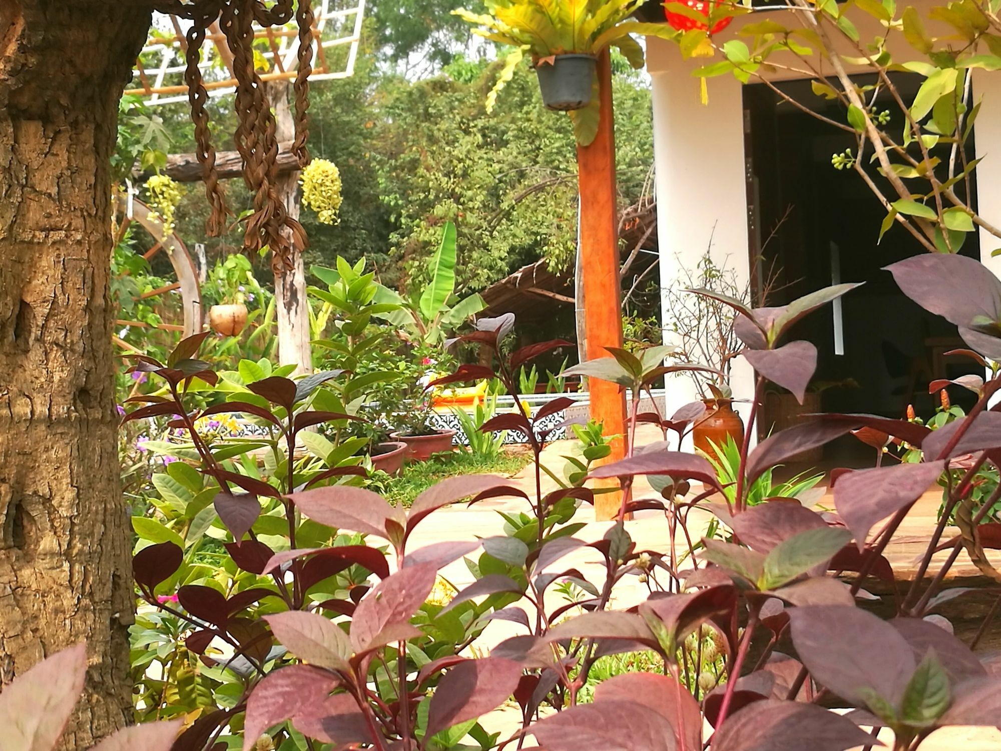Angkor Dino B&B Siem Reap Exterior foto